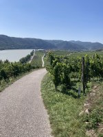 Stezka světového dědictví UNESCO ve Wachau