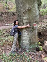 Stezka světového dědictví UNESCO ve Wachau