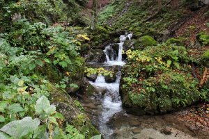 Skalní soutěska Dr. Vogelgesang – Klamm