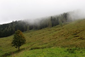 Skalní soutěska Dr. Vogelgesang – Klamm